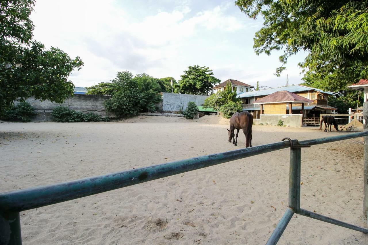 Mesari Beach Inn & Stables Seminyak Eksteriør bilde
